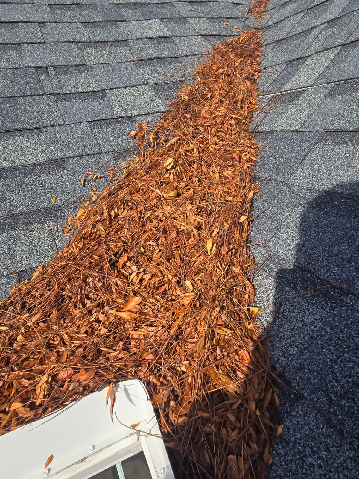Gutter cleaning service